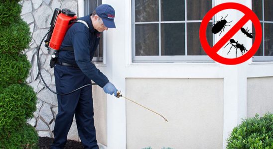 Bozyazı Pire İlaçlama böcek ilaçlama ve haşere kontrolü — ilaclama-tr.com